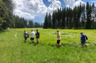 Yellowstone privato: Gemme nascoste, passeggiate e pranzo in famiglia