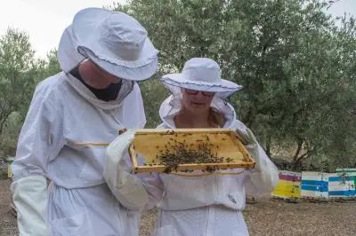 Apiculture près de Delphes : Expérience et dégustation de miel