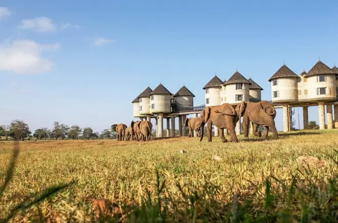 Safari 2 días desde Diani Beach al santuario Taita Hills Wildlife