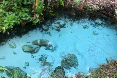 Découvrez le cœur sauvage du jalapão en 3 jours : baignade dans les fervedouros, traversée des dunes en 4x4, repas partagés à mateiros et são félix. transferts et repas inclus.