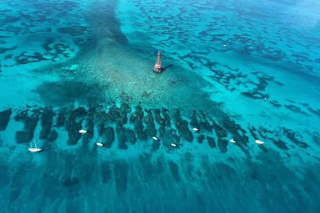 Snorkeling a Islamorada: Alligator Reef e Sandbar