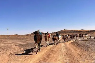 3-Day Sahara Tour from Errachidia: Merzouga Camel Trek
