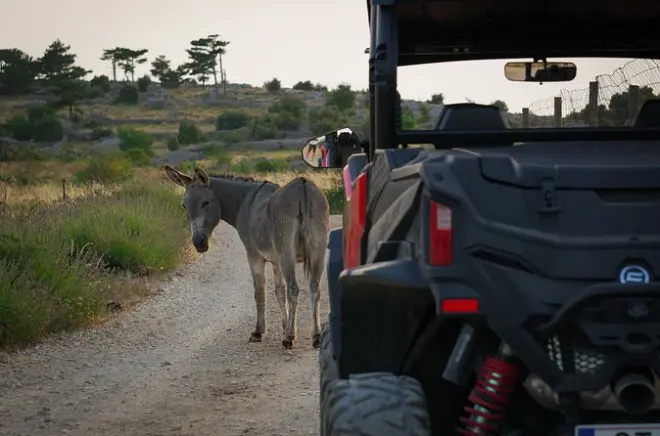 Conducción de buggy en Hvar: Aventura autoguiada en ATV