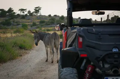 ATV Riding in Hvar: Self-Guided Buggy Adventure