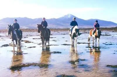 Cavalgada perto de Westport: Praia e campo