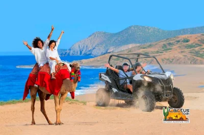 Sinta a energia da baja perto de cabo san lucas—dirija utvs, faça um passeio de camelo na praia do pacífico e termine com uma degustação de tequila. transporte do hotel e guia bilíngue incluíd