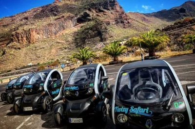Erlebe teneriffas bergwelt bei einer elektroauto-safari, genieße kanarischen kaffee, erkunde bananenplantagen und probiere hausgemachte spezialitäten. kleine gruppen, persönlicher guide und erfrisc