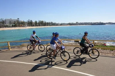 Découvrez manly à vélo : suivez les pistes côtières, explorez north head sanctuary et détendez-vous à shelly beach. casque, antivol et retrait facile inclus.