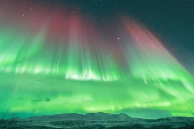 À tromso, partez à la chasse aux aurores boréales avec un guide local, réchauffez-vous autour d’un feu de camp, savourez une soupe arctique et des marshmallows, et repartez avec des photos pro i