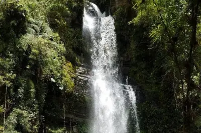 La Chorrera: A maior cachoeira da Colômbia