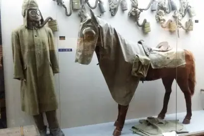 Museo Unit 731 a Harbin: Tour privato di mezza giornata con guida