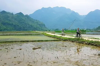 Trek à Pu Luong : Roues à eau en bambou et rizières en terrasses