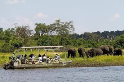 Safari Big Five en Chobe desde Victoria Falls, día completo