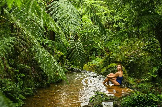 Lagoa: Vulcani, sorgenti termali e piantagione di ananas