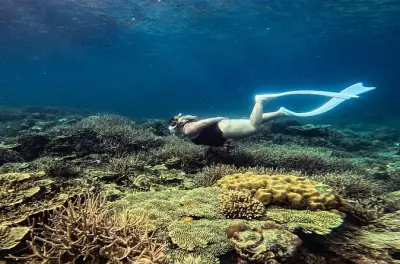 Port Barton excursion îles : Snorkeling Twin Reef et étoile de mer