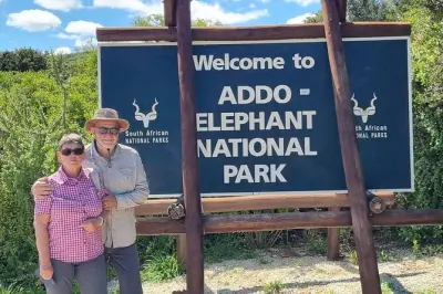 Safari privado de medio día en Addo Elephant desde Port Elizabeth