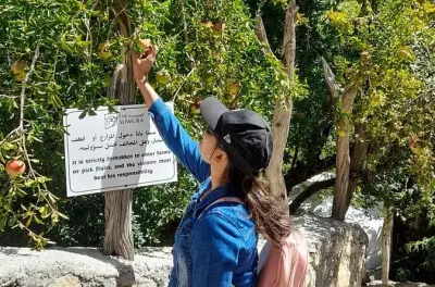 Private Tour Jebel Akhdar ab Muscat: Berge, Gärten & Ruinen