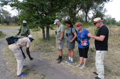 Rhino Walking Safari in Livingstone: Weiße Nashörner & Buschmedizin