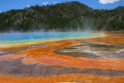 Yellowstone Lower Loop: Guida privata, Old Faithful