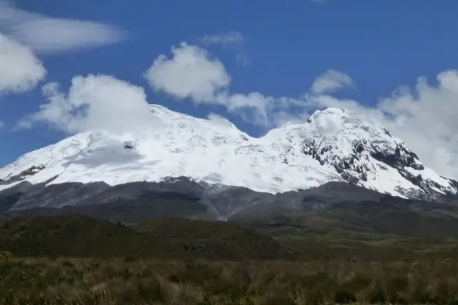 Antisana Volcano Private Tour: Condors & Andean Wildlife