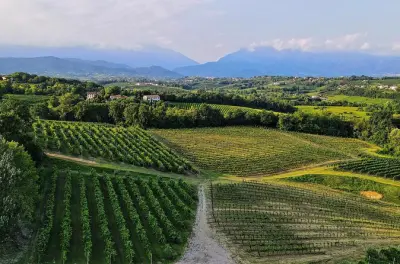 Dégustation de Prosecco au vignoble de San Pietro di Feletto