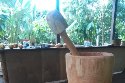 Descubre el aroma auténtico del café costarricense en la fortuna, disfruta chocolate fresco y prueba dulces de caña de azúcar en un tour práctico con degustaciones y relatos locales.