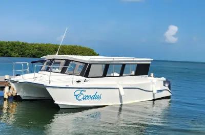 Encuentro con estrellas de mar y tour por manglares en Grand Cayman