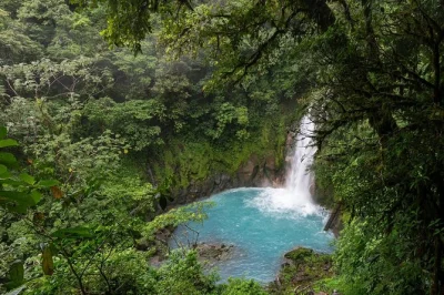 Sigue senderos en la selva hasta las aguas turquesas del río celeste, disfruta de su cascada, camina por el volcán tenorio y relájate en aguas termales. incluye transporte, guía local y almuerzo.