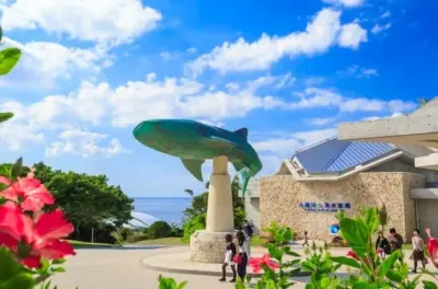 Okinawa Churaumi Aquarium Tour: Whale Sharks & Pineapple Park