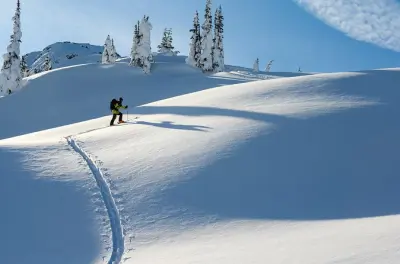 Esqui e splitboard no backcountry de Whistler com acesso por gôndola