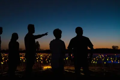 Uluru Field of Light Sunrise Tour: 50,000 glass spheres at dawn