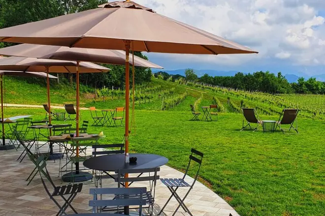 Prosecco Tasting in Treviso: Walk Vineyards, Taste Three Wines