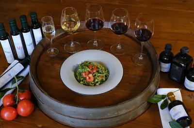 Experiência privada com vinhos e azeites em San Gimignano