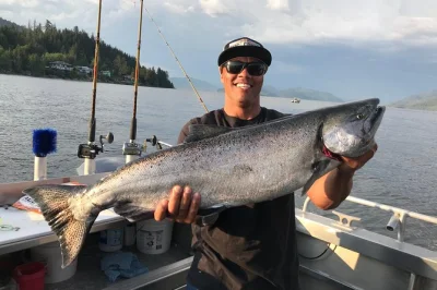 Sinta a emoção da pesca selvagem no alasca em ketchikan. puxe salmão ou halibute, veja animais incríveis e relaxe com refrigerantes — inclui transporte e todo o equipamento.