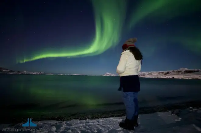 Northern Lights Chase in Tromsø: Photos Included