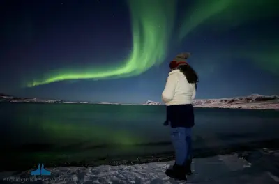 Northern Lights Chase in Tromsø: Photos Included