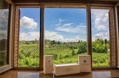 Esperienza privata con degustazione di vino e olio a San Gimignano