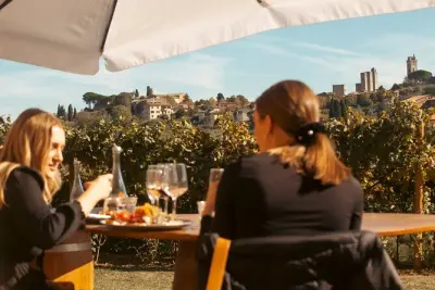 San Gimignano: Degustazione vini e olio in fattoria bio, 45 min
