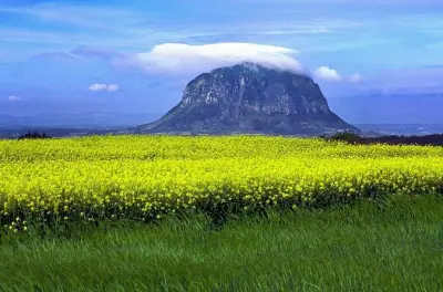 Isla de Jeju privada: Día completo de amanecer a atardecer