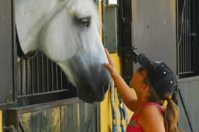 Carthusian Stud tour: Cartujano horses with official guide
