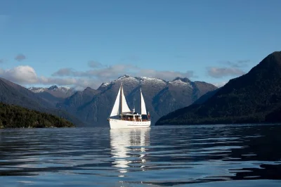 Erlebe die wilde schönheit des lake te anau mit einer kleinen yachtgruppe, geführter waldwanderung im fiordland und regionalen canapés – inklusive abholung und live-kommentar an bord.