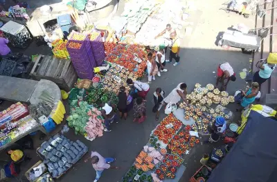 Tour pela cidade de Durban: Orla, mercados e catedral