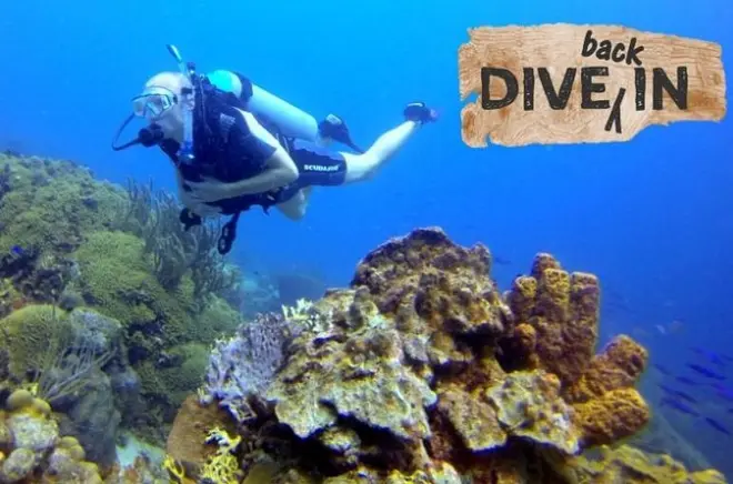 Mergulho de Reciclagem no Dive Bus House Reef, Curaçao