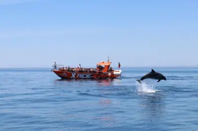 Dauphins et grotte de Benagil depuis Vilamoura : 3 heures