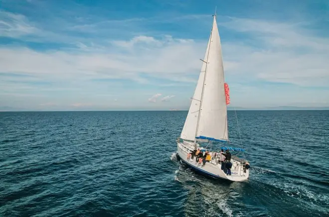Vela a Golfo Aranci con avvistamento delfini: Tutto incluso