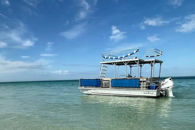 Schnorcheln auf Anna Maria Island: Privates Boot mit lokalem Guide