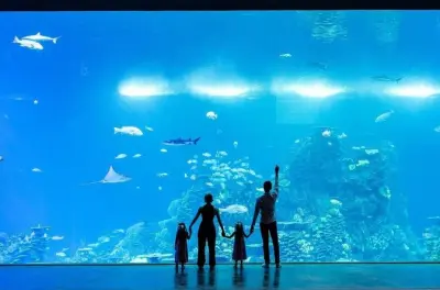 Billets grand aquarium Mazatlan : Plus de 200 espèces