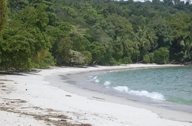 Manuel Antonio National Park tour: Hike, swim, spot sloths