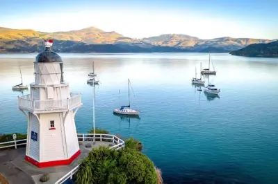 Akaroa Day Tour: French Charm & Giant's House Mosaics