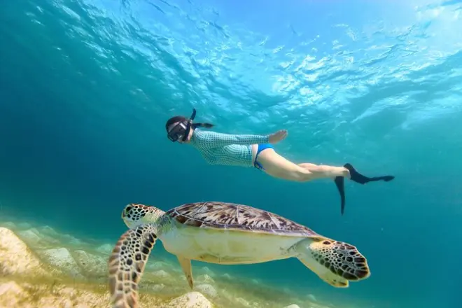 Schnorcheln am Abu Dabbab Strand: Mit Schildkröten schwimmen